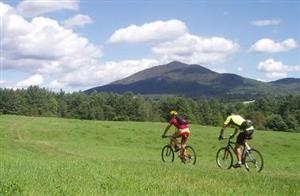 Adult Mountain Biking